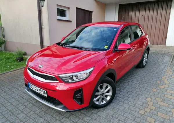 Kia Stonic cena 66700 przebieg: 50000, rok produkcji 2020 z Sławków małe 667